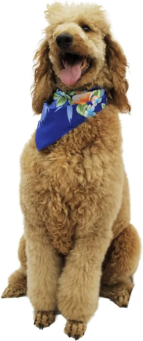 Matchable Family Hawaiian Luau Men Women Girl Boy Clothes in Hibiscus Blue