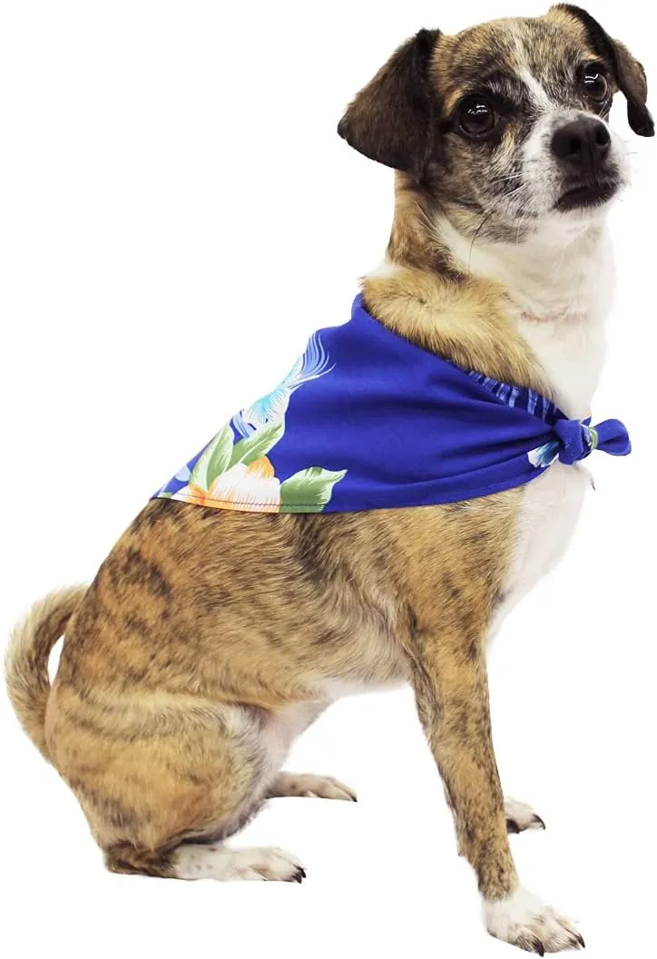 Matchable Family Hawaiian Luau Men Women Girl Boy Clothes in Hibiscus Blue